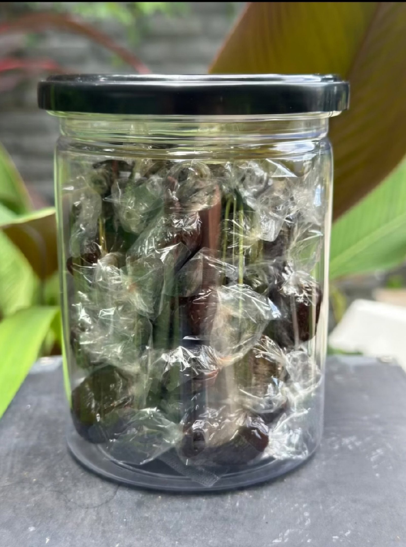MANGOSTEEN PASTE 200g - Image 2